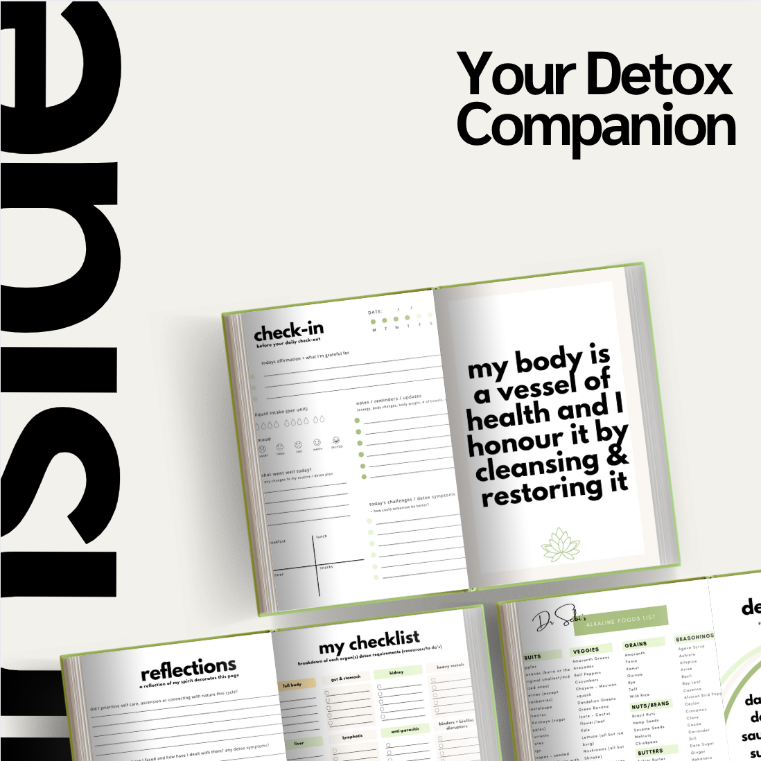 My Detox Journey Physical Journal