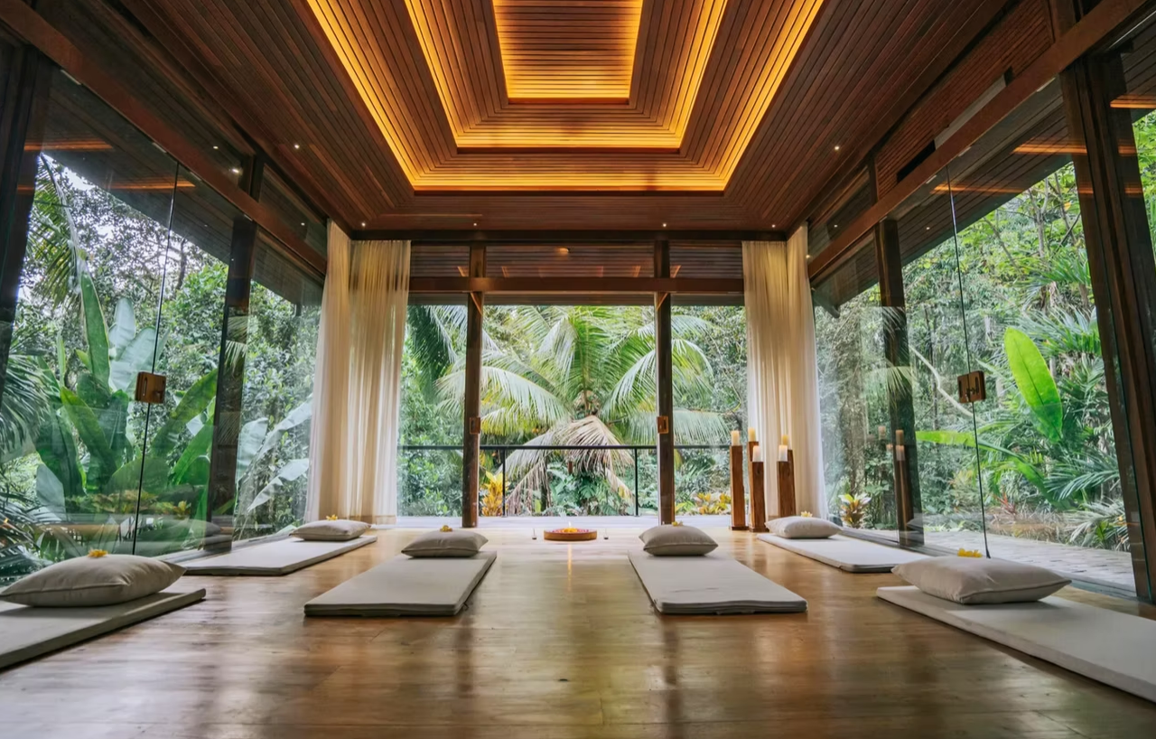 The Master Detox Retreat 2027 - Priority Access List
