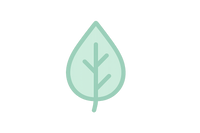 #caeee4 natural leaf icon medium size transparent background